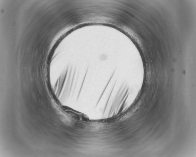 X0000085241085200704092017