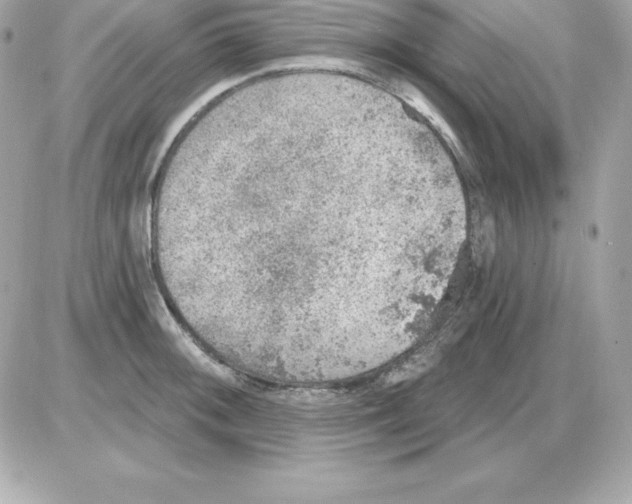 X0000085241092200704092017