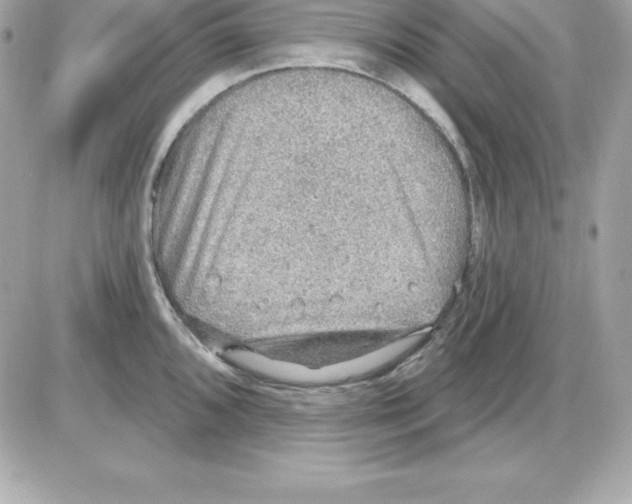 X0000085241096200704092017