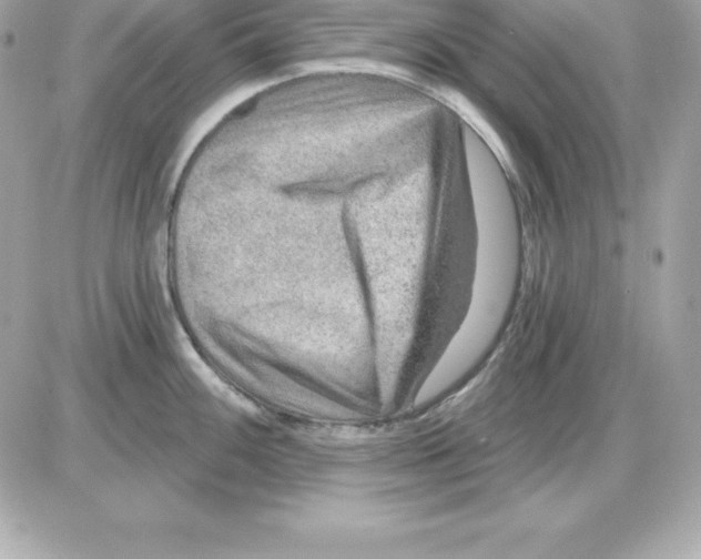 X0000085241100200704092017