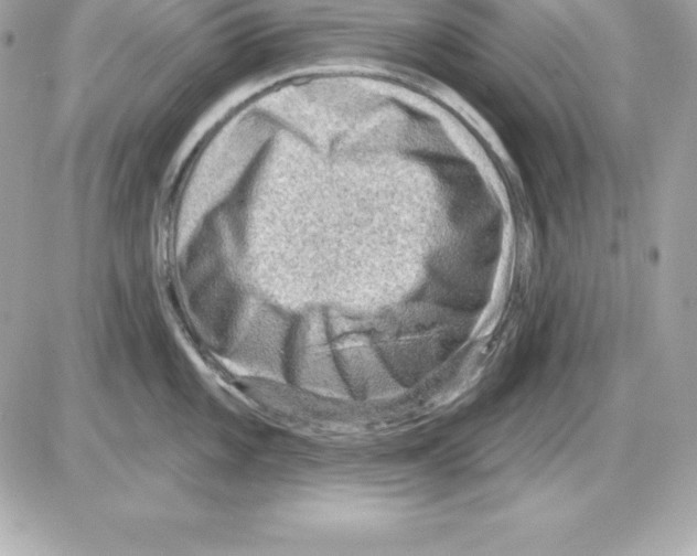 X0000085241101200704092017