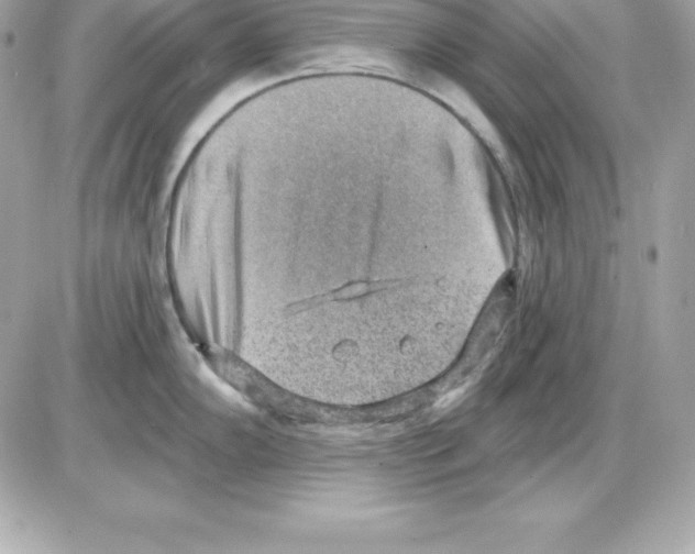 X0000085241102200704092017