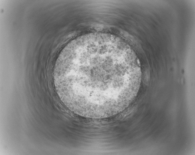 X0000085241105200704092016