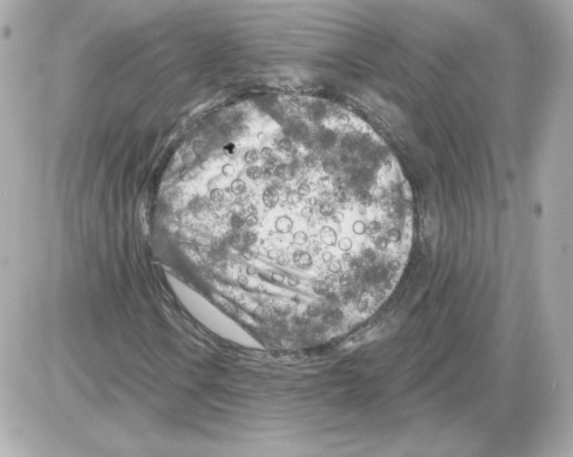 X0000085241106200704092016