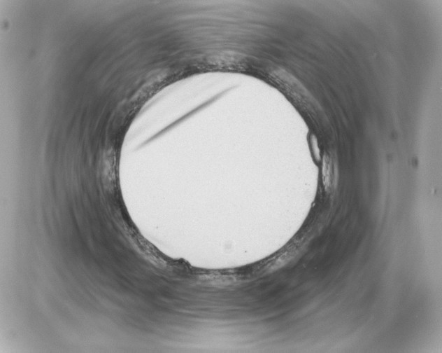 X0000085241107200704092016