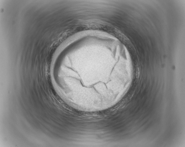 X0000085241108200704092016