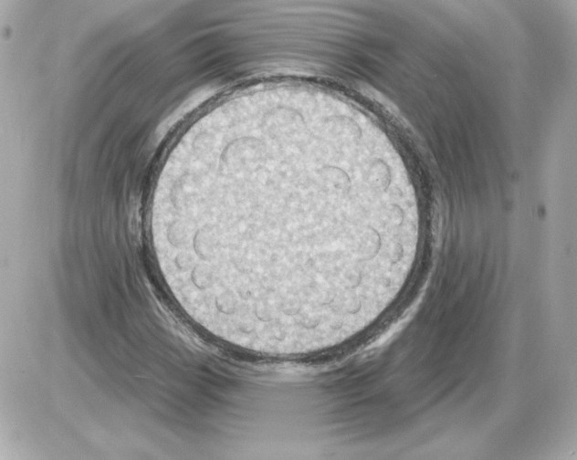 X0000085241113200704092016
