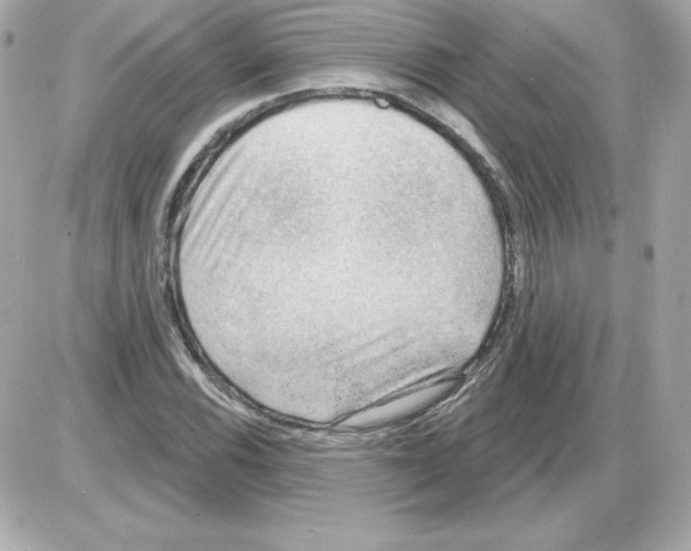 X0000085241116200704092016