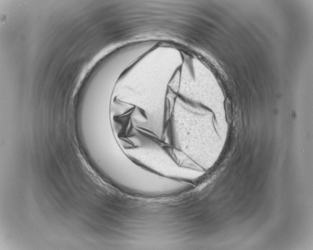 X0000085241118200704092016