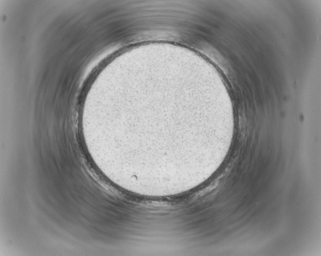 X0000085241119200704092016