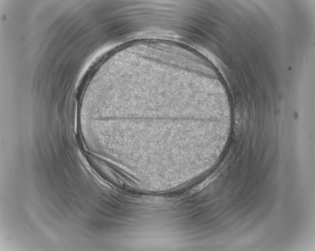 X0000085241123200704092016