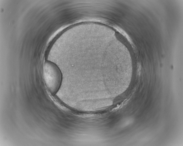X0000085241127200704092016