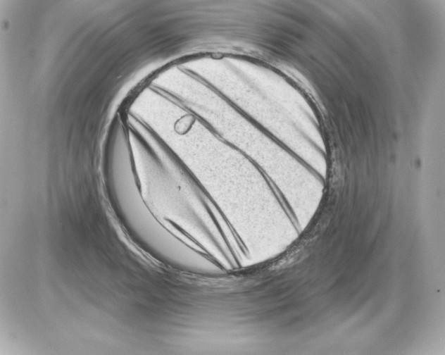 X0000085241128200704092016