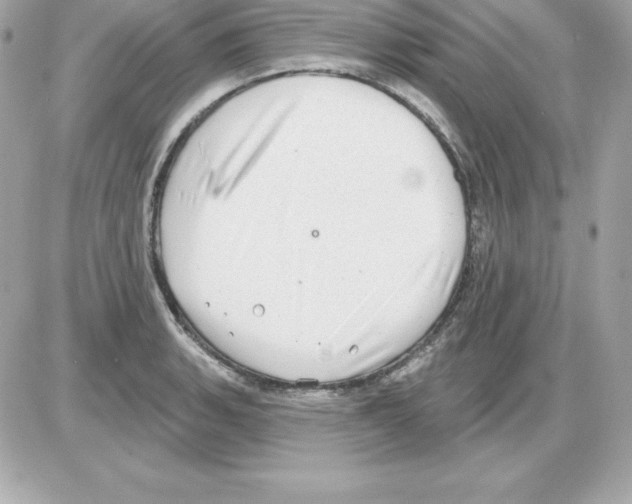 X0000085241135200704092016