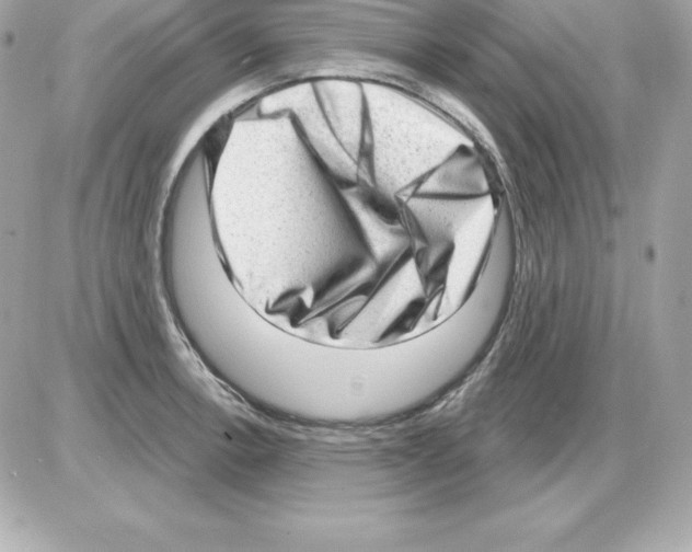 X0000085241138200704092016