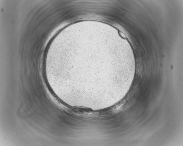 X0000085241139200704092016