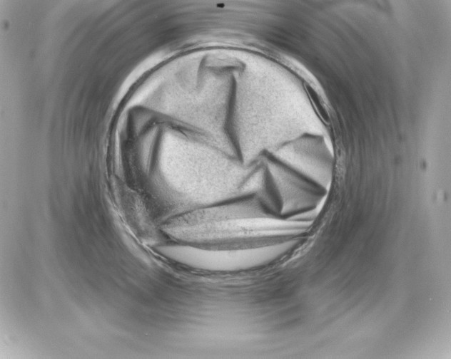 X0000085241146200704092017