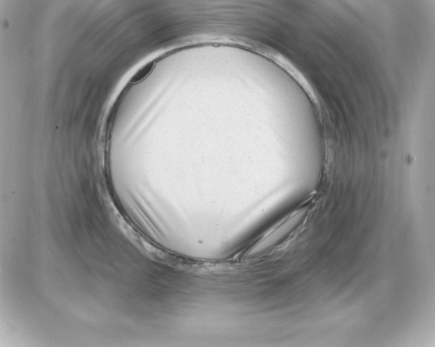 X0000085241148200704092017