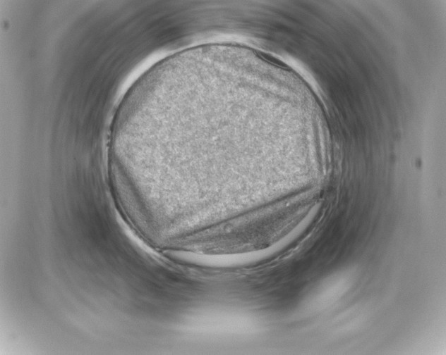X0000085241151200704092017