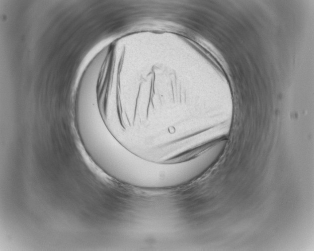 X0000085241152200704092017