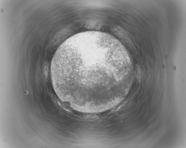 X0000085241154200704092016