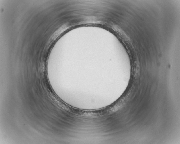 X0000085241169200704092016