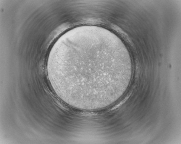 X0000085241170200704092016
