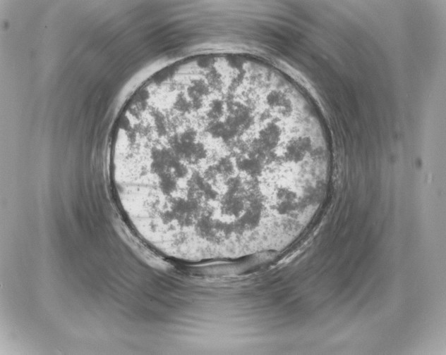 X0000085241179200704092015