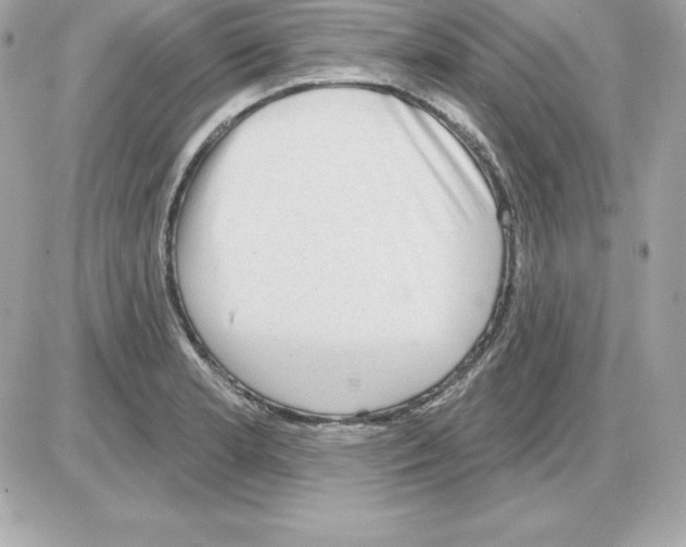 X0000085241181200704092015