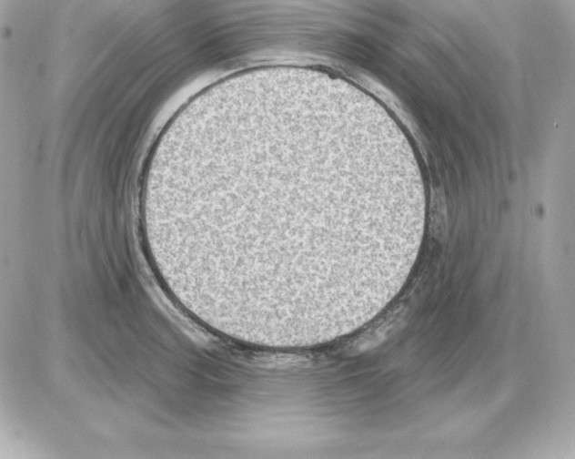 X0000085241187200704092015