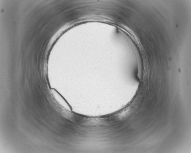 X0000085241188200704092015