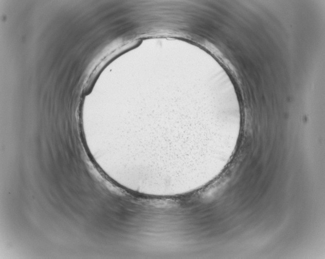 X0000085241189200704092015