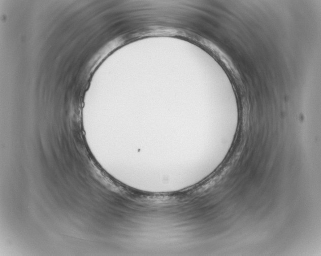 X0000085241193200704092015