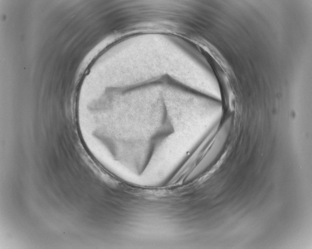 X0000085241196200704092015