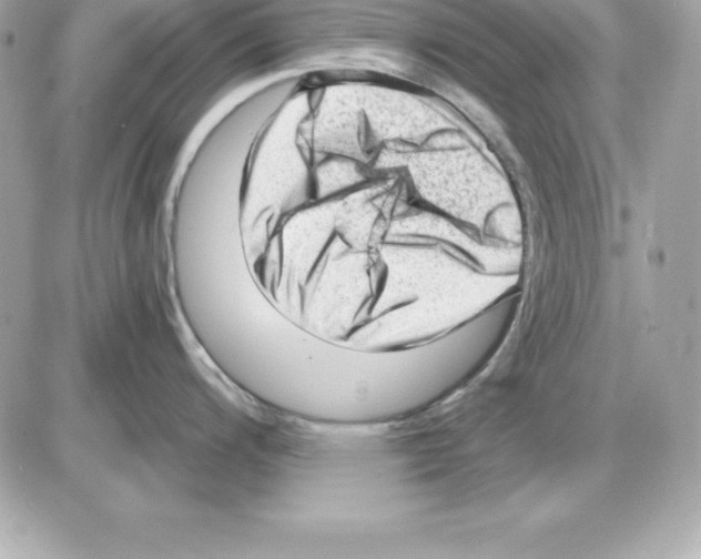 X0000085241200200704092015