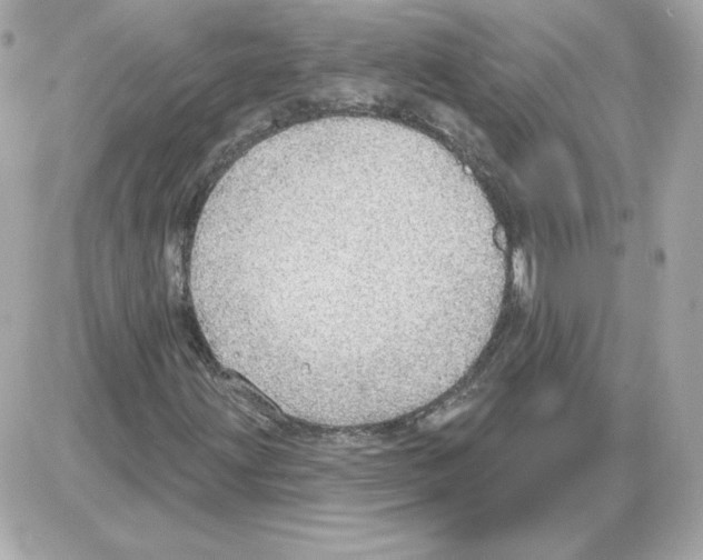 X0000085241203200704092014