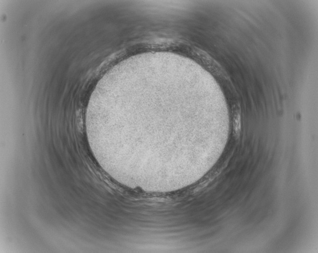X0000085241204200704092014