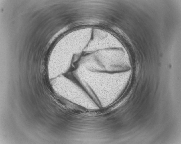 X0000085241210200704092014