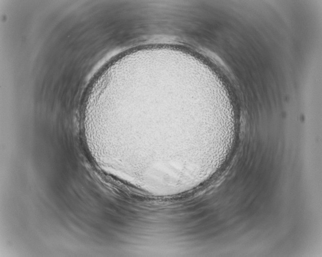 X0000085241212200704092014