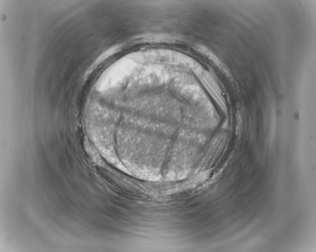 X0000085241213200704092014