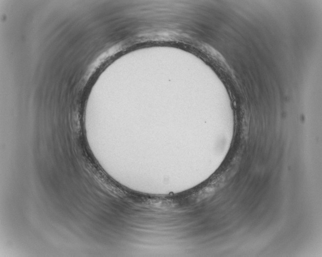 X0000085241218200704092015