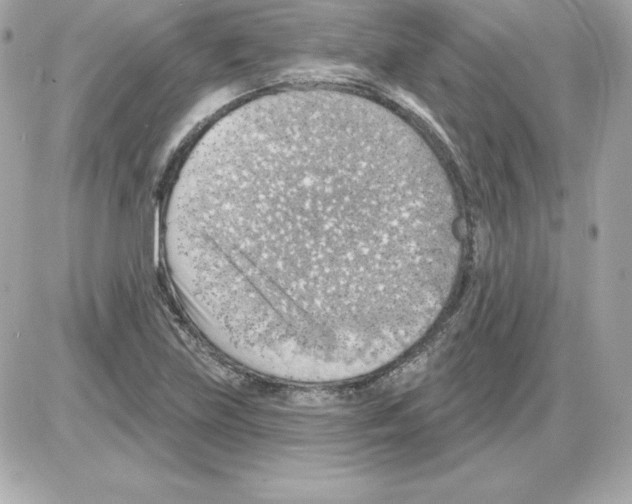 X0000085241219200704092015