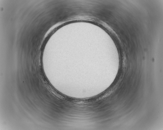 X0000085241222200704092015