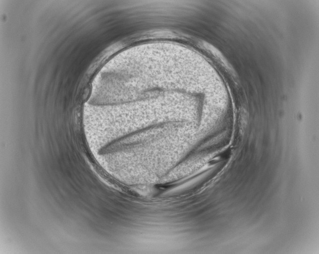 X0000085241225200704092015