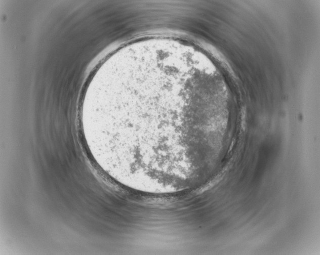 X0000085241229200704092015