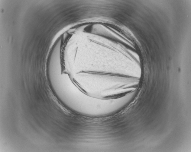 X0000085241230200704092015