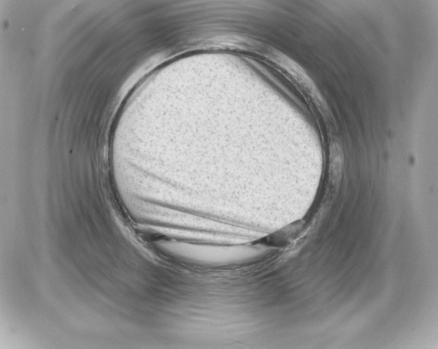 X0000085241234200704092015