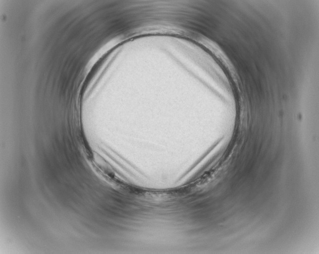 X0000085241242200704092015