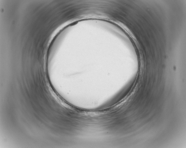 X0000085241246200704092015