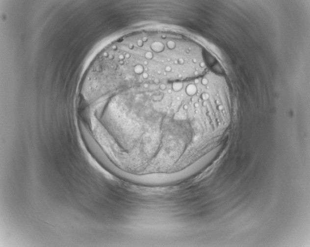 X0000085241247200704092015